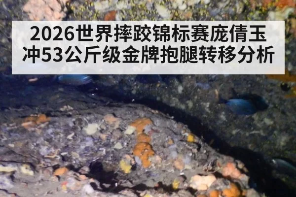 2026世界摔跤锦标赛庞倩玉冲53公斤级金牌抱腿转移分析
